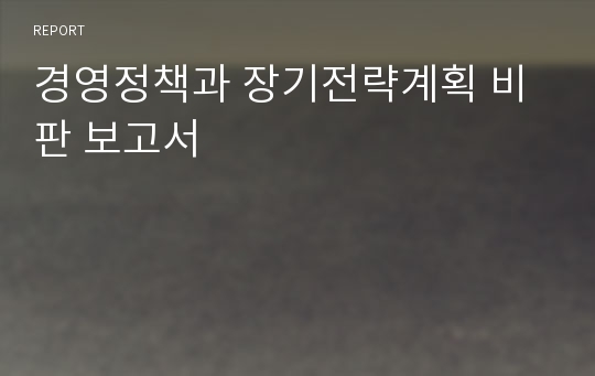 경영정책과 장기전략계획 비판 보고서