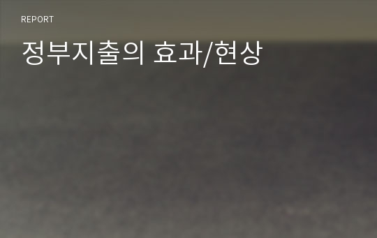 정부지출의 효과/현상