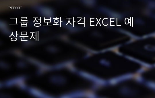 그룹 정보화 자격 EXCEL 예상문제