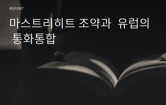 마스트리히트 조약과  유럽의 통화통합