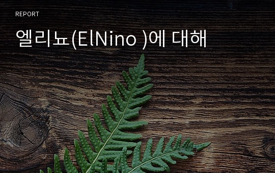 엘리뇨(ElNino )에 대해