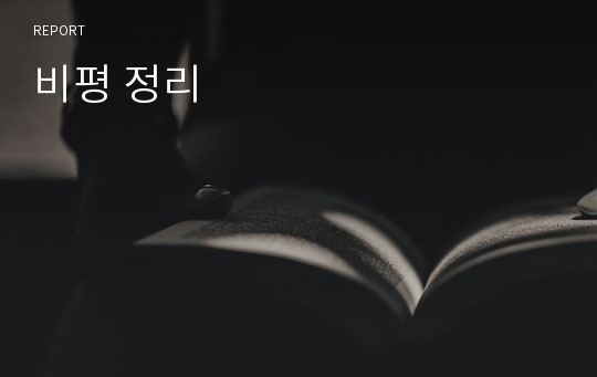 비평 정리