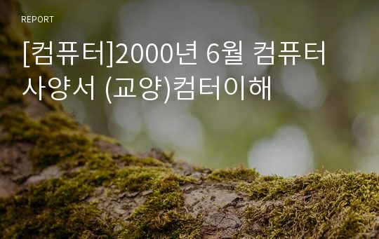 [컴퓨터]2000년 6월 컴퓨터사양서 (교양)컴터이해