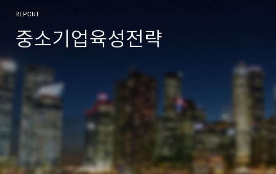 중소기업육성전략