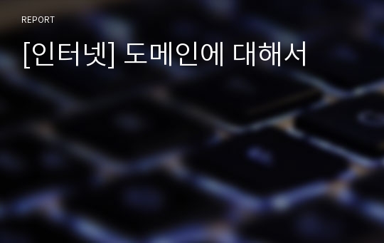 [인터넷] 도메인에 대해서