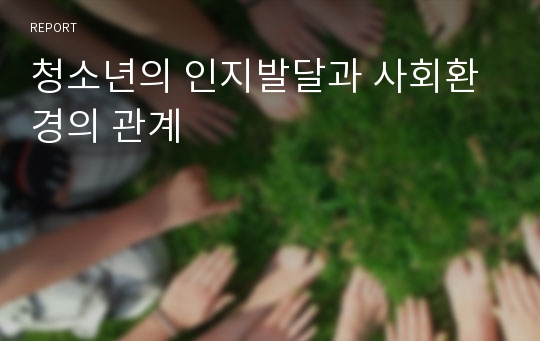 청소년의 인지발달과 사회환경의 관계