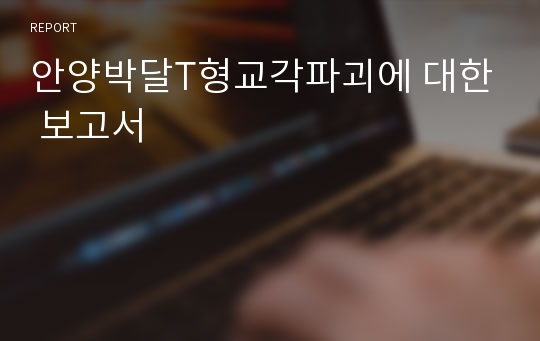 안양박달T형교각파괴에 대한 보고서