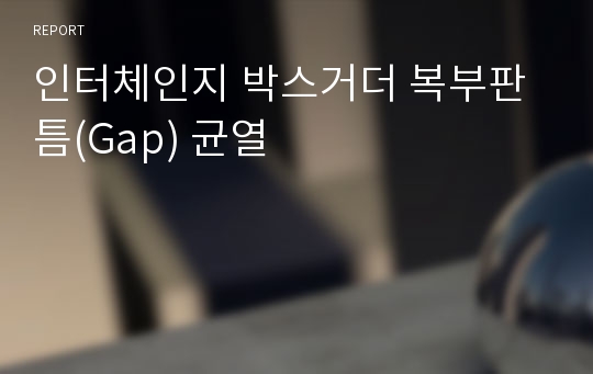 인터체인지 박스거더 복부판 틈(Gap) 균열