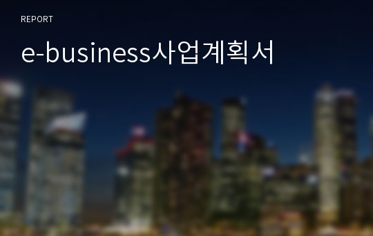 e-business사업계획서