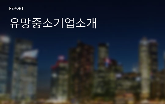 유망중소기업소개