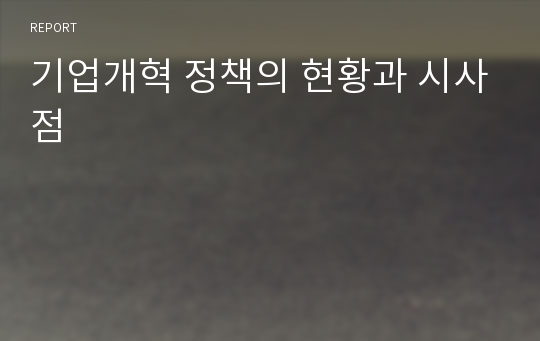 기업개혁 정책의 현황과 시사점