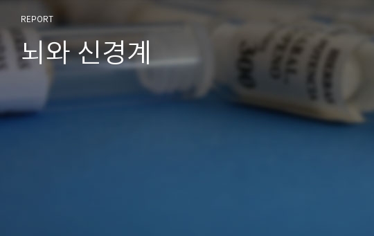 뇌와 신경계