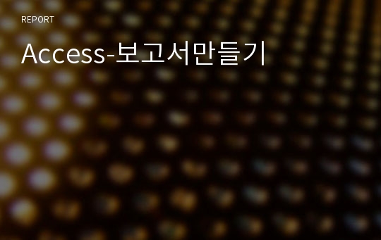 Access-보고서만들기