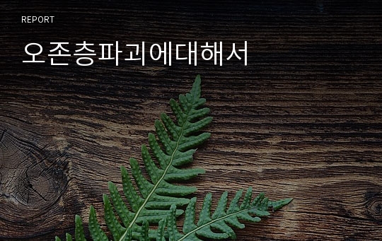 오존층파괴에대해서