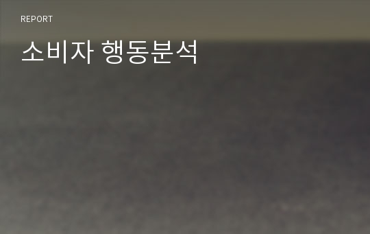 소비자 행동분석