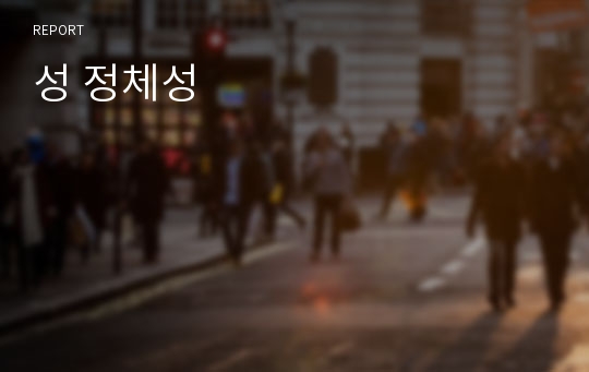 성 정체성