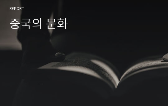 중국의 문화