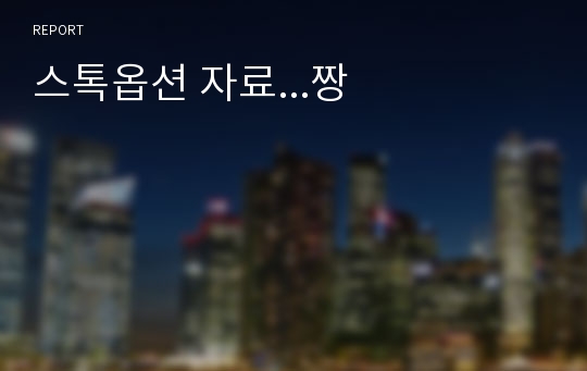 스톡옵션 자료...짱