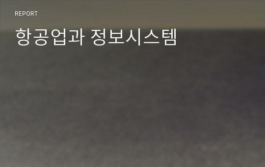 항공업과 정보시스템