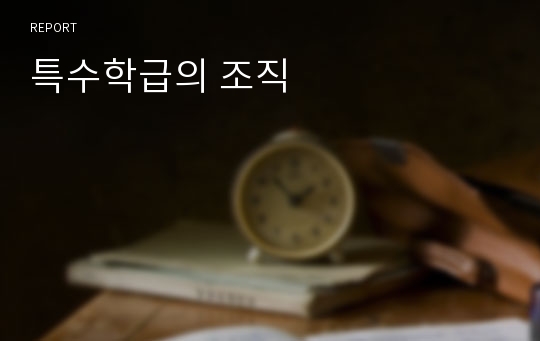 특수학급의 조직