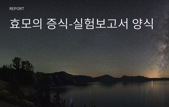 효모의 증식-실험보고서 양식