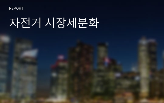 자전거 시장세분화