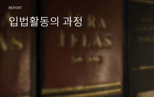 입법활동의 과정