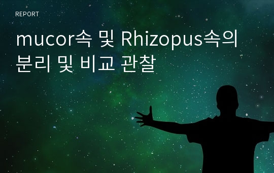 mucor속 및 Rhizopus속의 분리 및 비교 관찰