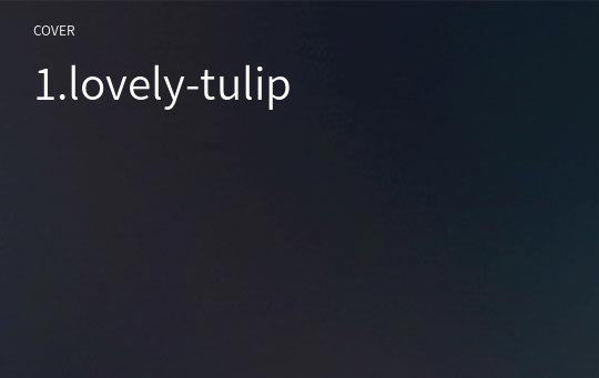 1.lovely-tulip