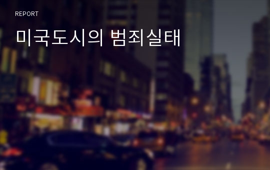 미국도시의 범죄실태