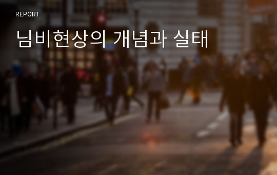 님비현상의 개념과 실태