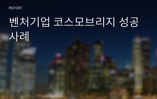 벤처기업 코스모브리지 성공사례