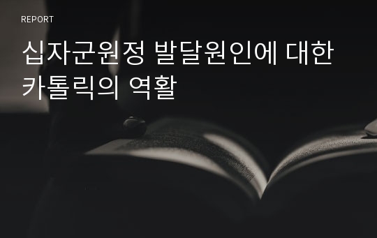 십자군원정 발달원인에 대한 카톨릭의 역활