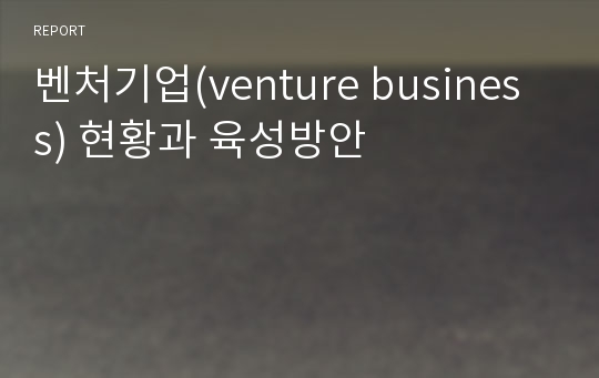 벤처기업(venture business) 현황과 육성방안