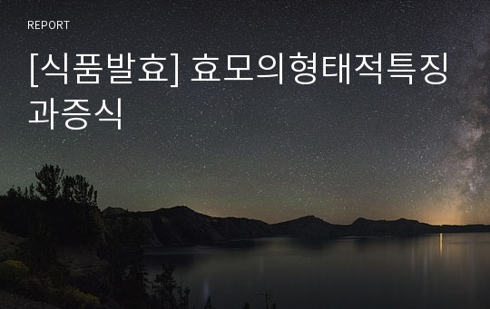 [식품발효] 효모의형태적특징과증식