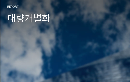 대량개별화