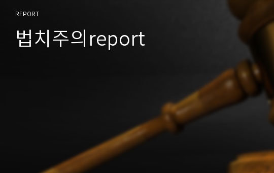 법치주의report