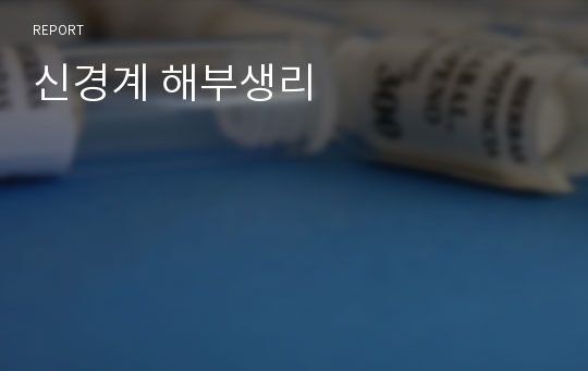 신경계 해부생리