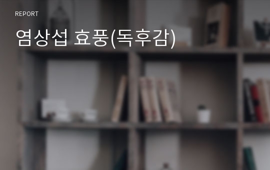 염상섭 효풍(독후감)