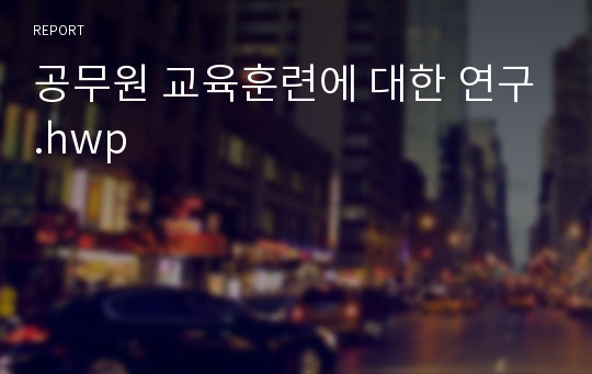 공무원 교육훈련에 대한 연구.hwp