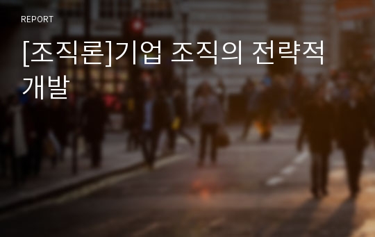 [조직론]기업 조직의 전략적 개발