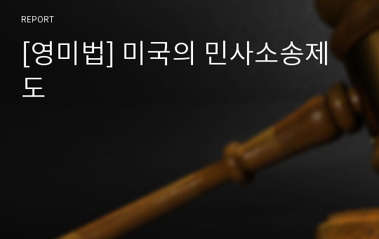 [영미법] 미국의 민사소송제도