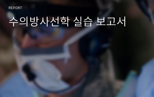 수의방사선학 실습 보고서