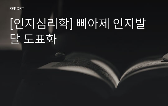 [인지심리학] 삐아제 인지발달 도표화