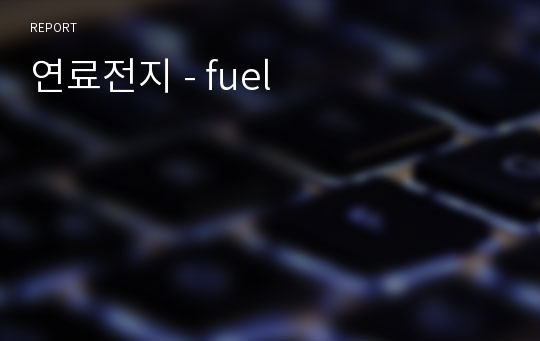 연료전지 - fuel