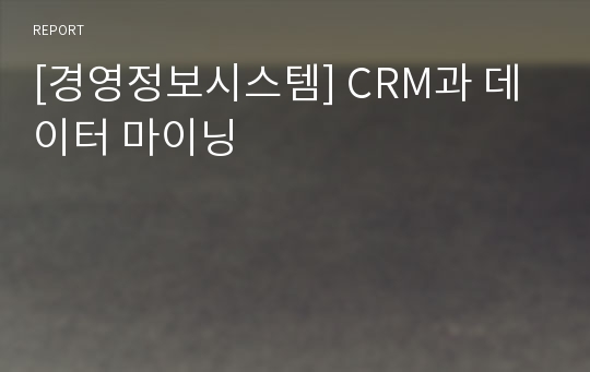 [경영정보시스템] CRM과 데이터 마이닝