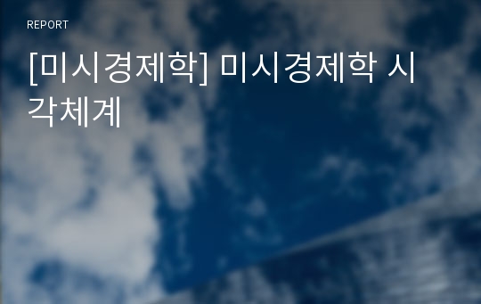 [미시경제학] 미시경제학 시각체계