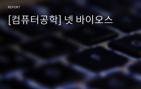 [컴퓨터공학] 넷 바이오스