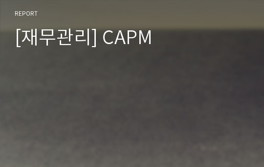 [재무관리] CAPM