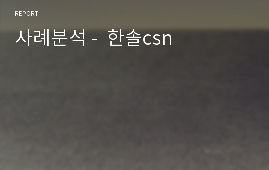 사례분석 -  한솔csn